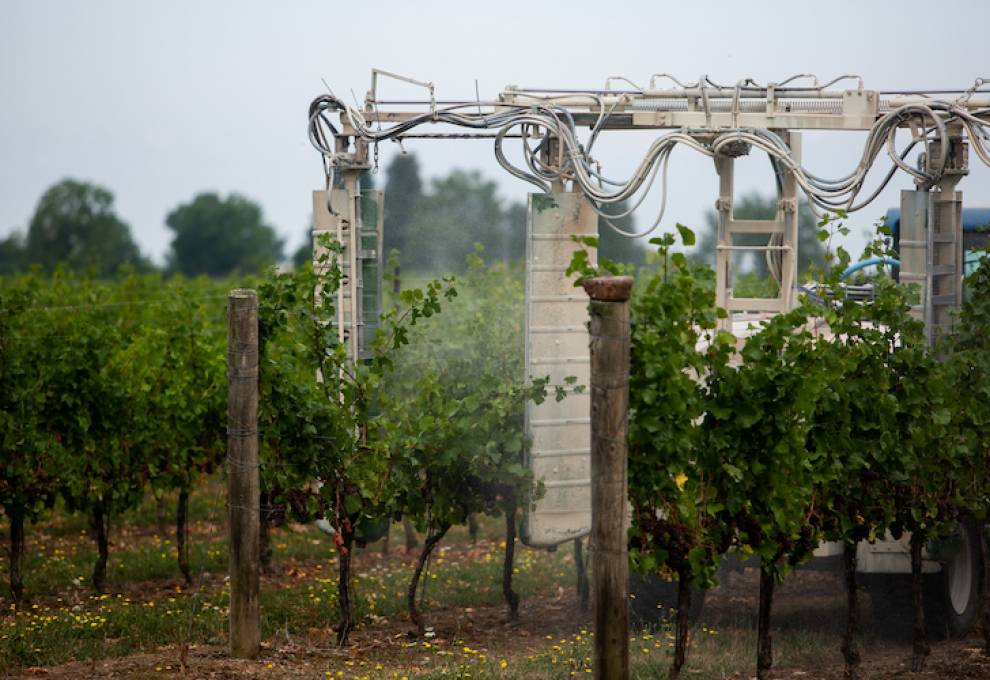 pesticide grape spraying