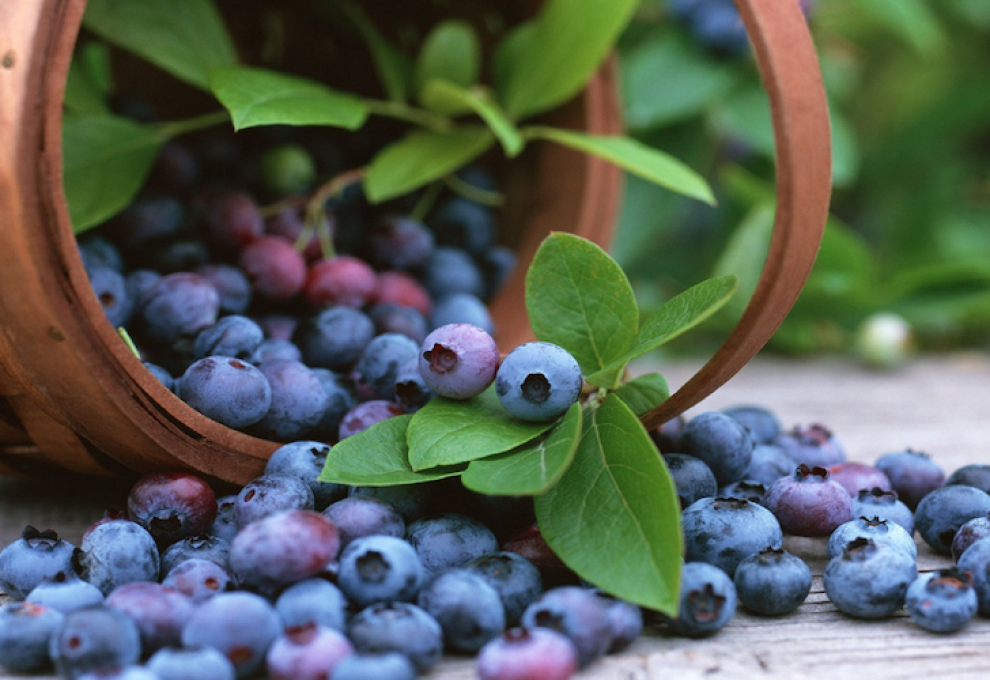 Peru blueberries