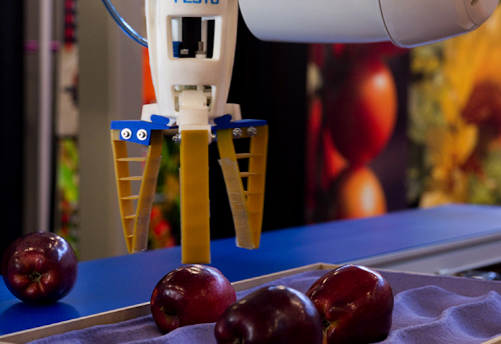 automating robot in apples