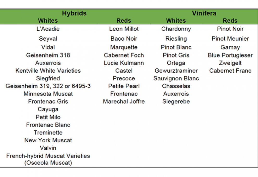 Eligible varieties, N.S. Vineyard Expansion Program. As this chart indicates, there are hybrids and varietals not usually seen in other grape-growing regions of Canada.