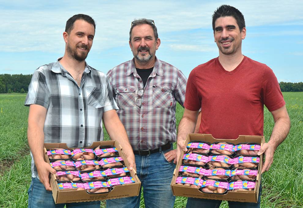 There are only a handful of shallot growers in Canada. Pictured here are Portage La Prairie, Manitoba growers: Lourens Arendse (middle) and sons Tim (L) and Sandor (R). Photo courtesy of Karin Arendse.