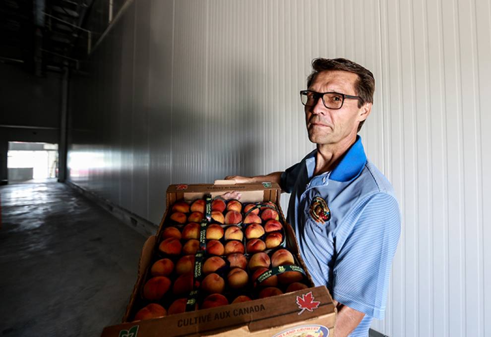 Dave Lepp, director of operations, Vineland Growers’ Co-Operative, shows off Niagara's peaches in a new 30,000-foot cold storage expansion.