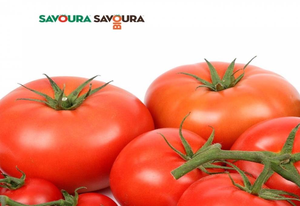Savoura tomatoes