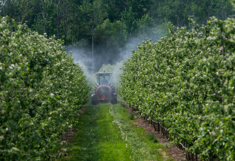 A crop protection apple spraying