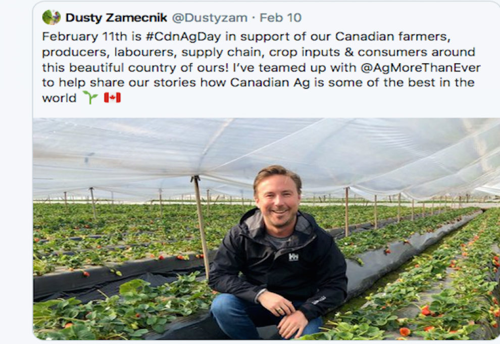 Farmer in his greenhouse