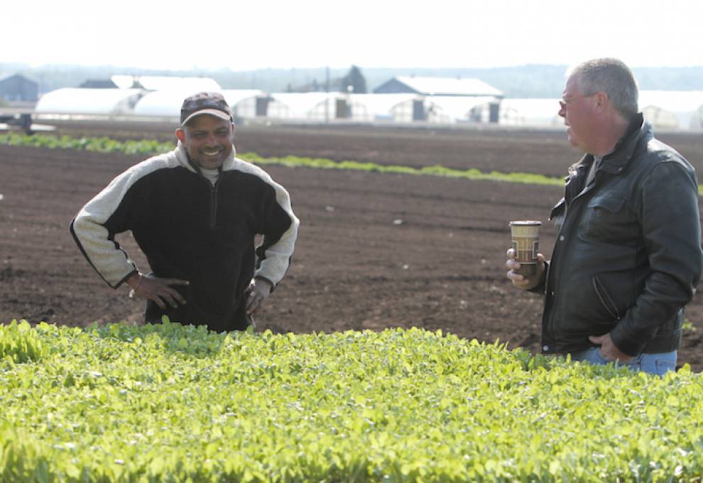 Jamie Reaume, right, visits with a Holland Marsh grower.