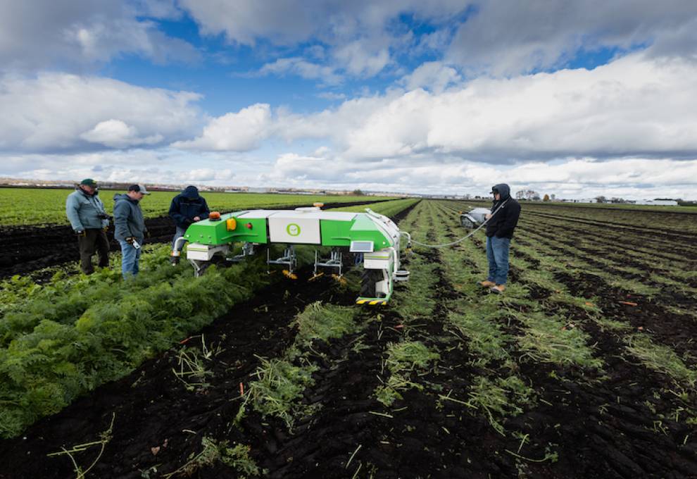 Naïo robotic weeder being tested in the Holland Marsh.
