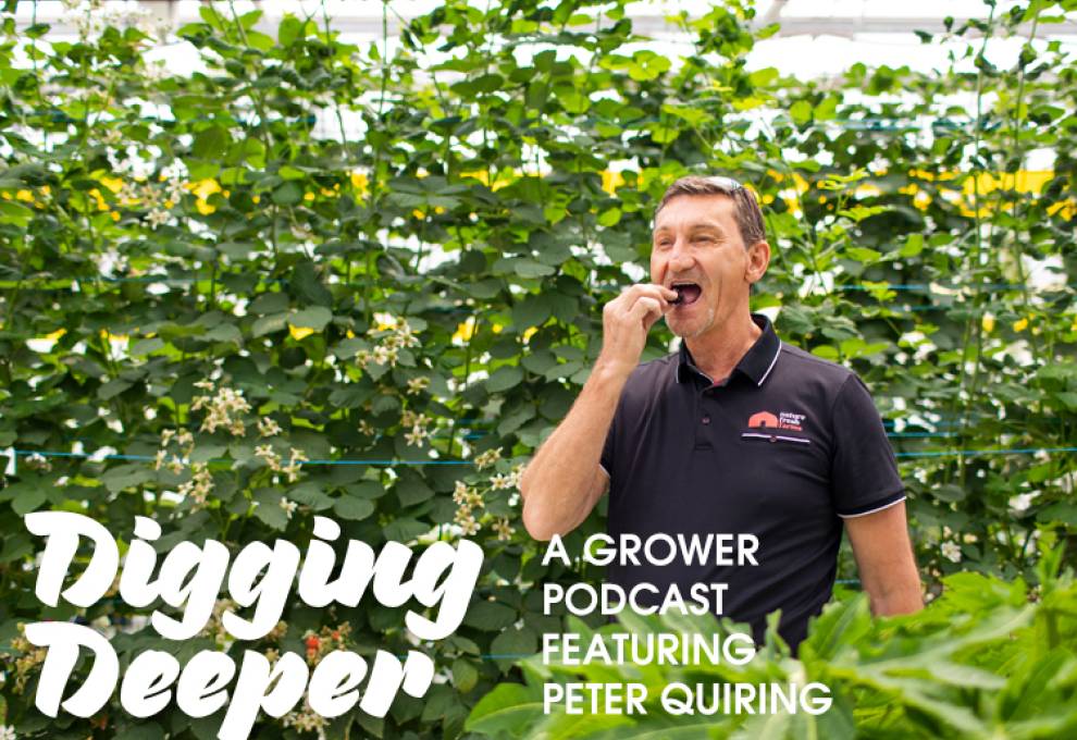 Digging Deeper with Peter Quiring