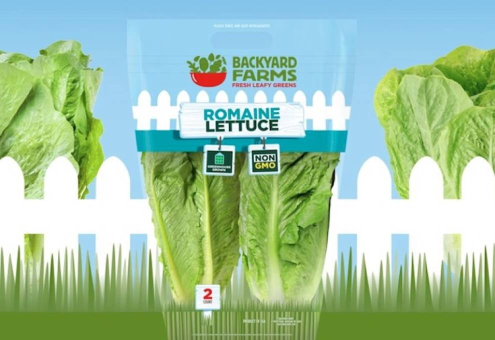 Mastronardi Produce has launched a large-format, greenhouse-grown romaine lettuce under its Backyard Farms lettuce line.