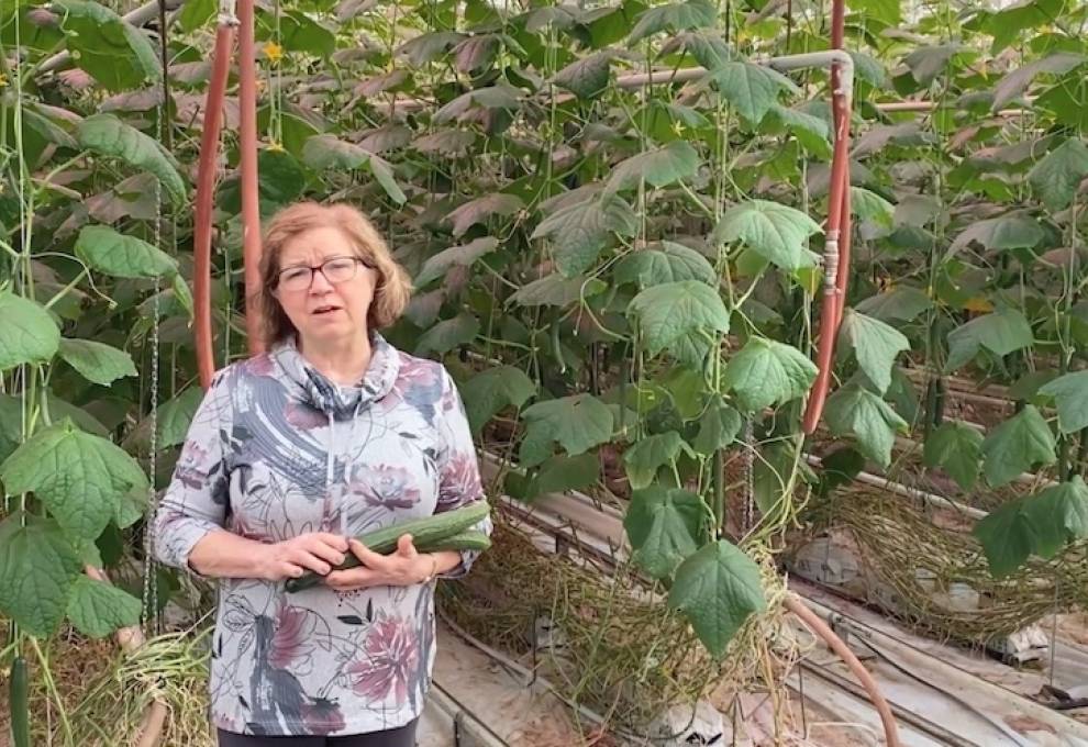 Linda Delli Santi, executive director, BC Vegetable Growers