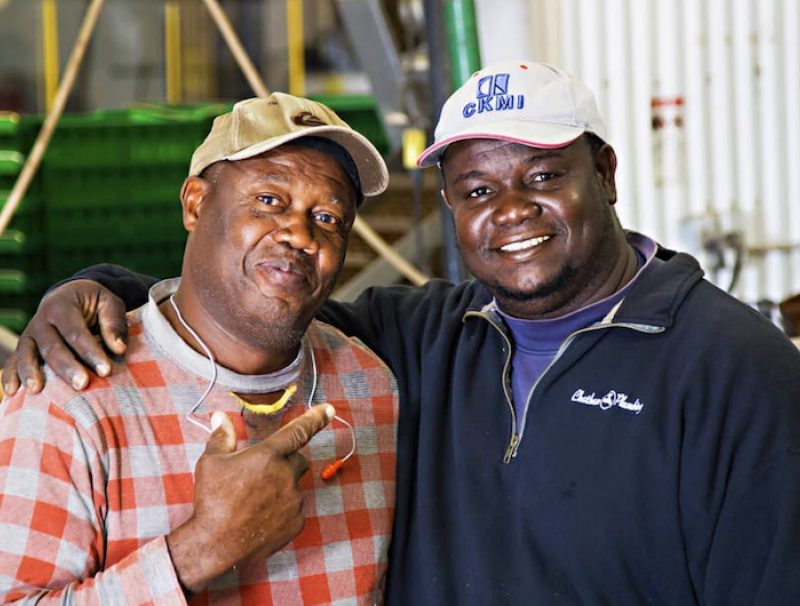 The stories of Hopeton and Denroy, a father/son team of seasonal agricultural workers from Jamaica were featured in a video and teacher resource guide distributed in March by Farm and Food Care Ontario.