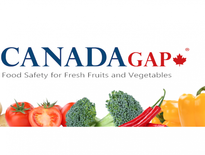 CanadaGAP Banner 