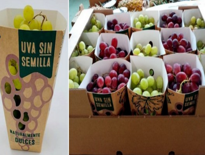grape packaging wins prize for convenience