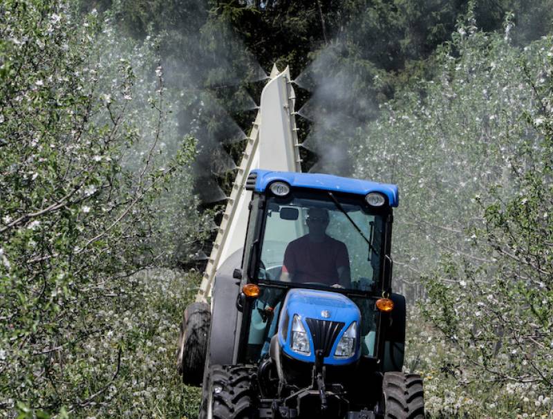 pesticide spraying apples