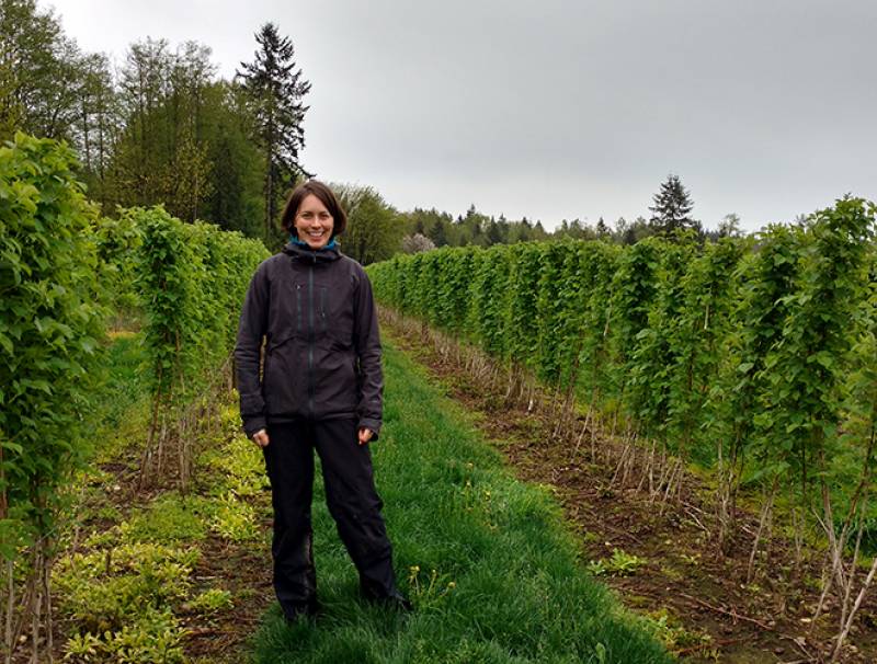 Carolyn Teasdale inspects raspberry canes in mid-April.