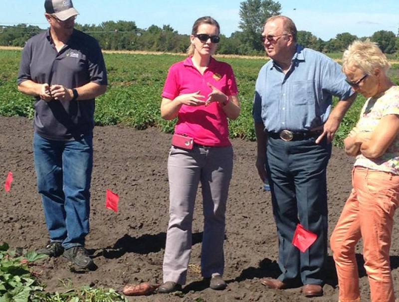 Peak of the Market’s Tracy Shinners-Carnelley, director of research and quality enhancement, (L) discusses sweet potato research with Manitoba’s minister of agriculture, Ralph Eichler and deputy minister, Dori Gingera Beauchemin. Photo by Debbie Jones.
