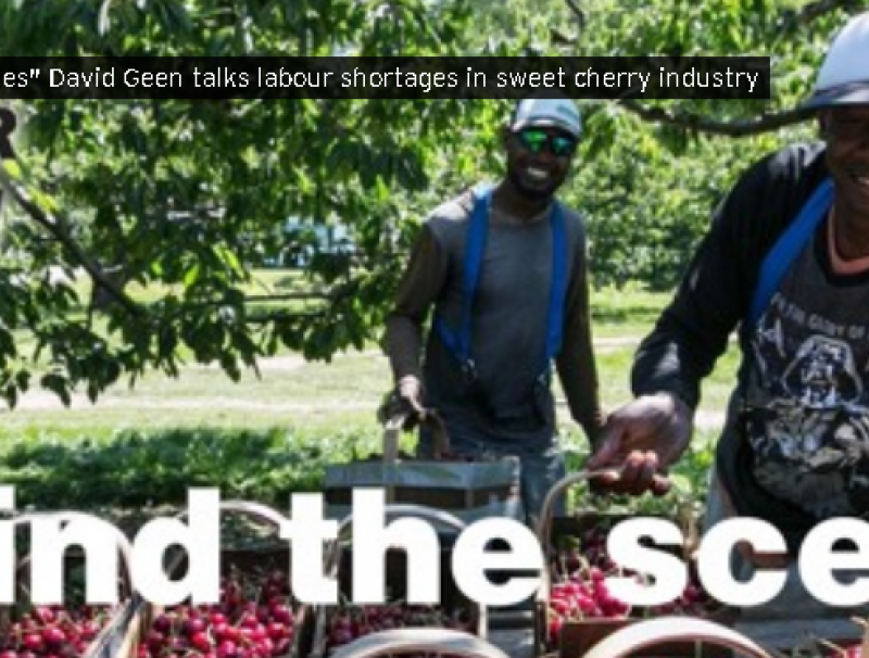 Sweet Cherry Industry