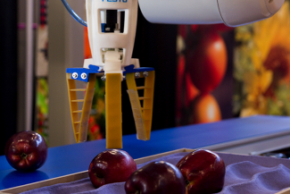 automating robot in apples