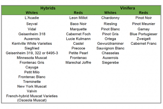 Eligible varieties, N.S. Vineyard Expansion Program. As this chart indicates, there are hybrids and varietals not usually seen in other grape-growing regions of Canada.