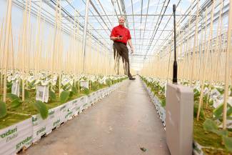With real-time environmental monitoring, Jan VanderHout says no chemical controls have been used since opening the propagation facility two years ago. Photo by Glenn Lowson