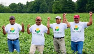 Farm Food Migrant Worker