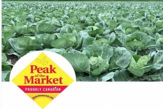 Peak Market