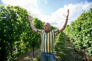 Albrecht Seeger, Seeger Farms is one of the 35 participating vineyards in Sustainable Winegrowing Ontario Certified.