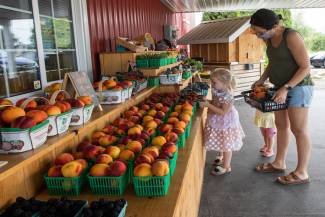 This mother and two children are enjoying their fruit picks at The Red Barn market near Jordan, Ontario. Photo by Glenn Lowson.
