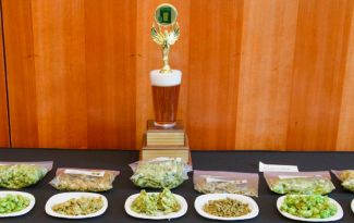 Cheers to the bottomless cup trophy for the Great Ontario-Hopped Craft Beer Competition pictured with samples of hops.
