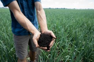 Decarbonization starts with soil health. Photo by Glenn Lowson.