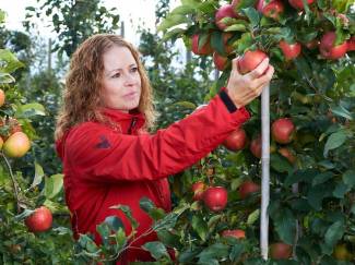 The Greater Niagara Chamber of Commerce, Women in Business Awards have honoured a Vineland apple researcher: Rachael LeBlanc. 