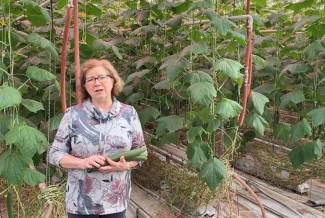 Linda Delli Santi, executive director, BC Vegetable Growers