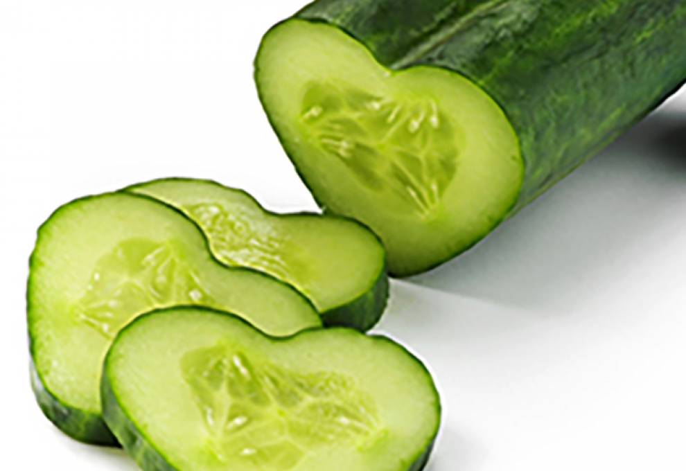 One of the differentiating products of Doef’s Greenhouses Ltd. is a mini-heart cucumber that’s made possible with plastic moulds for five days on the developing cucumber.