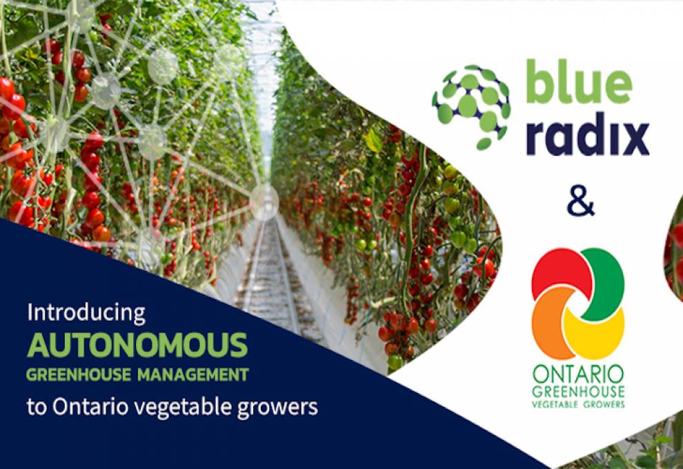 Ontario Greenhouse Vegetable Growers poster