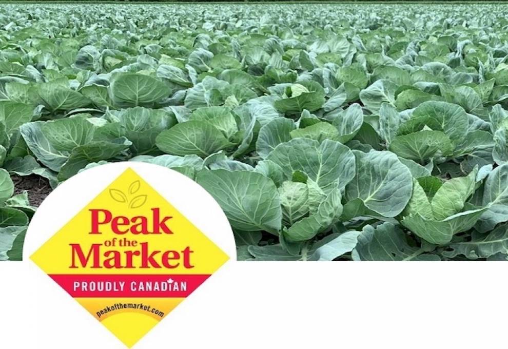 Peak Market