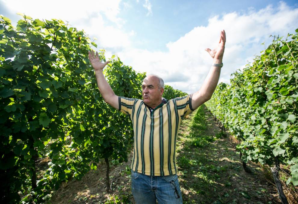 Albrecht Seeger, Seeger Farms is one of the 35 participating vineyards in Sustainable Winegrowing Ontario Certified.