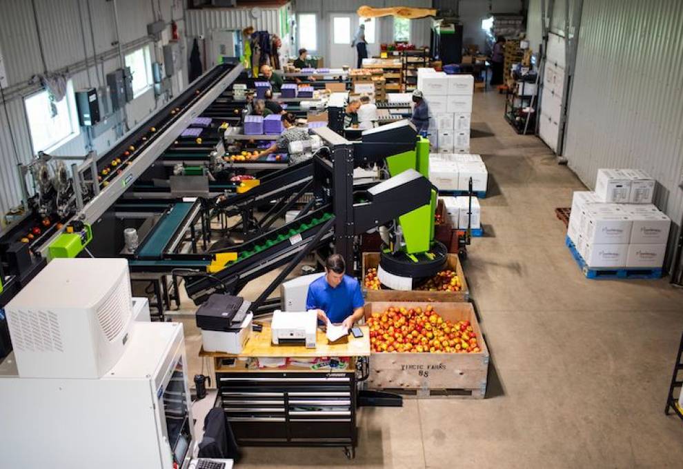 This overhead view shows John Feenstra in the foreground of the new Greefa packing line at the Mountainview Orchards, Beamsville, Ontario apple farm. Photos by Marcella DiLonardo.