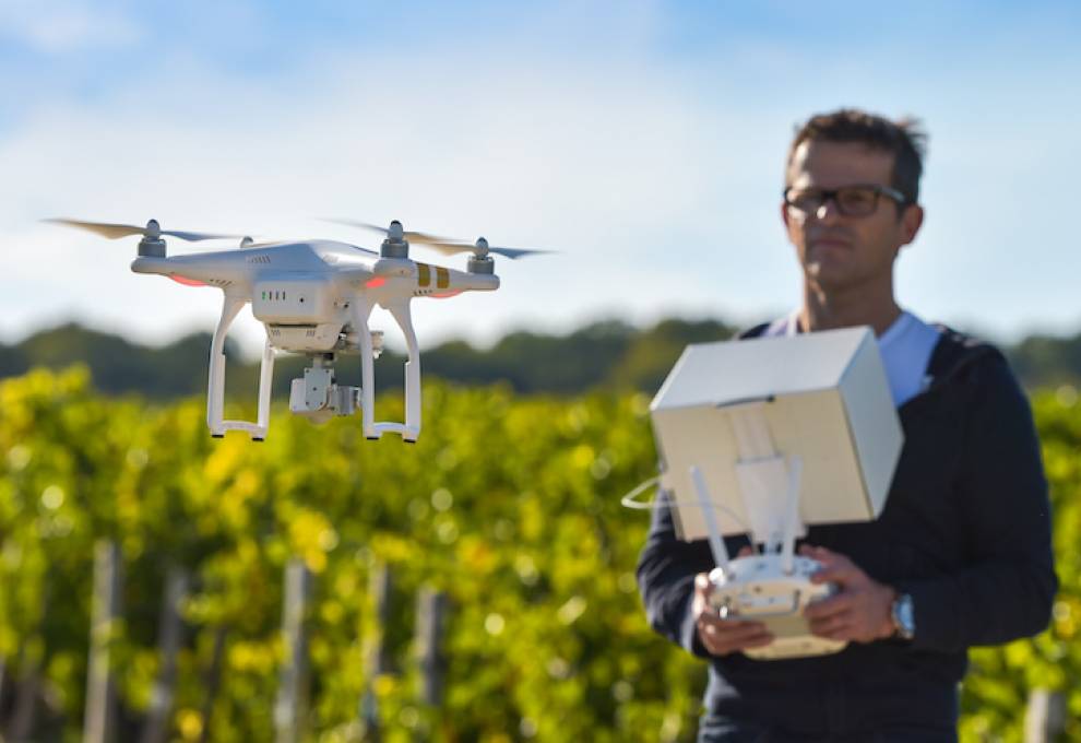 Drone evidence was accepted by Italy’s Court of Bari, showing infringement of unauthorized grape plantings of a variety owned by Sun World International.