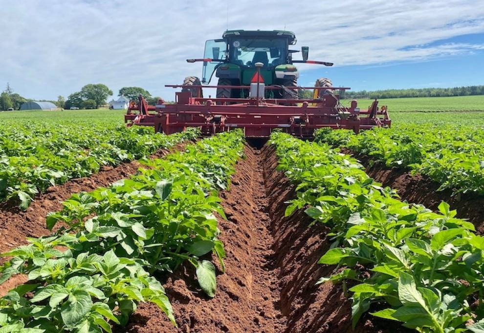 Planting of the Canadian potato crop is off to a good start in most regions. 