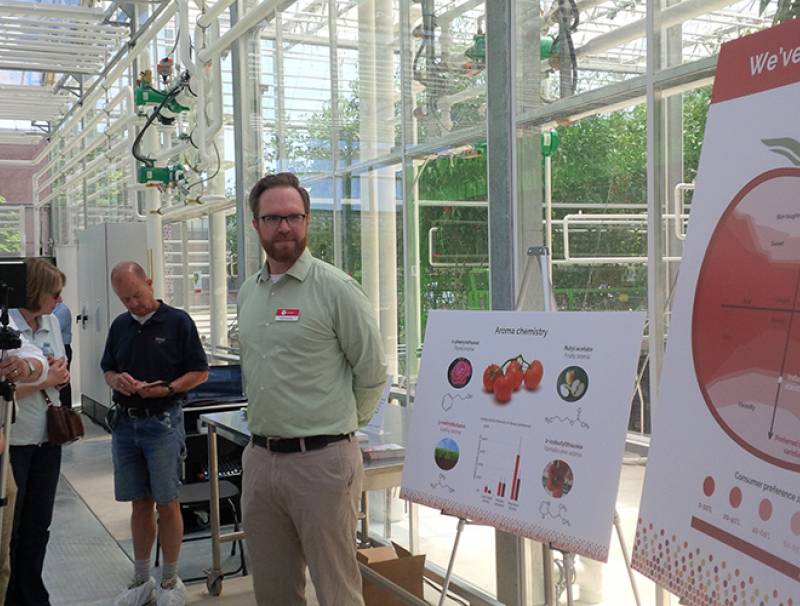 David Liscombe, research scientist in biochemistry, explains that the industry standard for tomato flavour can be differentiated by linking the chemistry of tomatoes to consumer preferences for flavourful varieties. Graphic supplied by Vineland.
